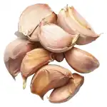 Solo Garlic
